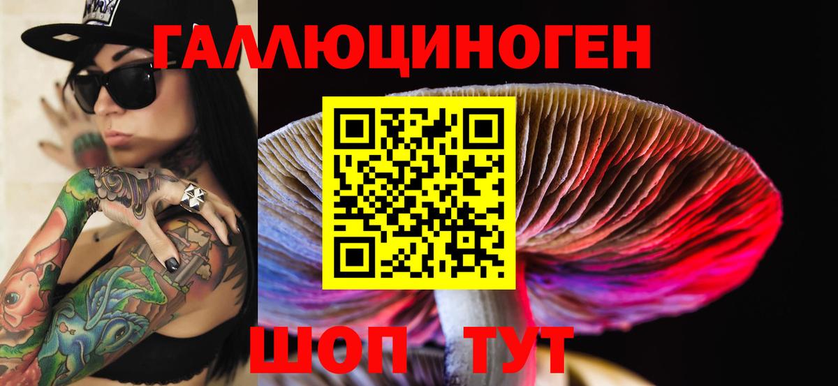 Галлюциногенные грибы Psilocybine cubensis  Вход с VPN  Асино  Псилоцибиновые грибы GOLDEN TEACHER 